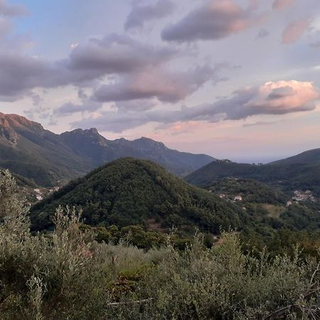 La Casa In Vigna Tramonti Quarto foto