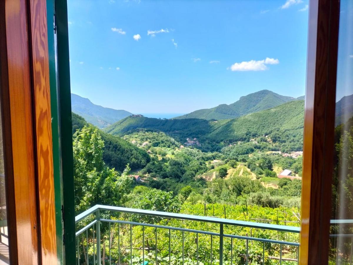 La Casa In Vigna Tramonti Exterior foto