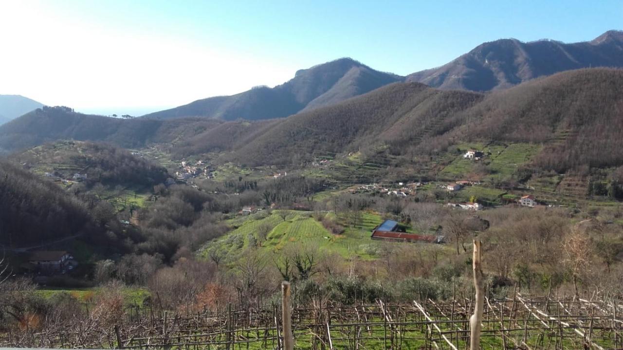 La Casa In Vigna Tramonti Exterior foto